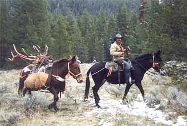 Packing out another trophy bull elk at the end of a Colorado hunt with Arapaho Wilderness Outfitters.