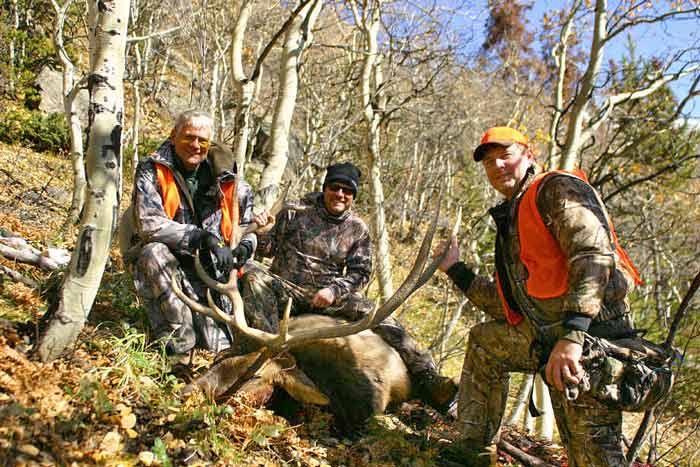 Picture of large bull elk and hunters