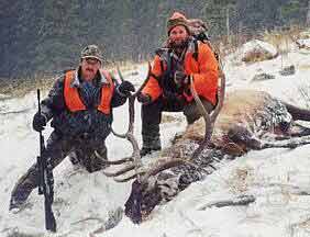 Colorado elk hunting trophy harvested during the 2001 rifle hunting season.