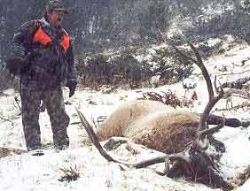 Colorado elk hunting trophy harvested in 2001