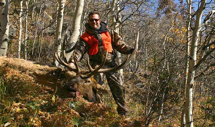 Colorado bull elk hunting trophy picture 