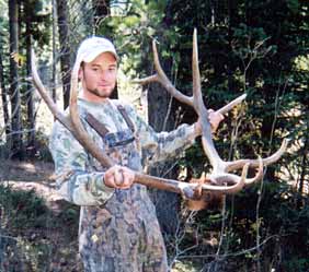 Elk from Colorado's designated wilderness areas are frequently exceptional animals.