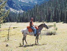 Arapaho Wilderness Outfitters' host, Steve Nunley on an elk hunting trip to Colorado's Indian Peaks Wilderness.